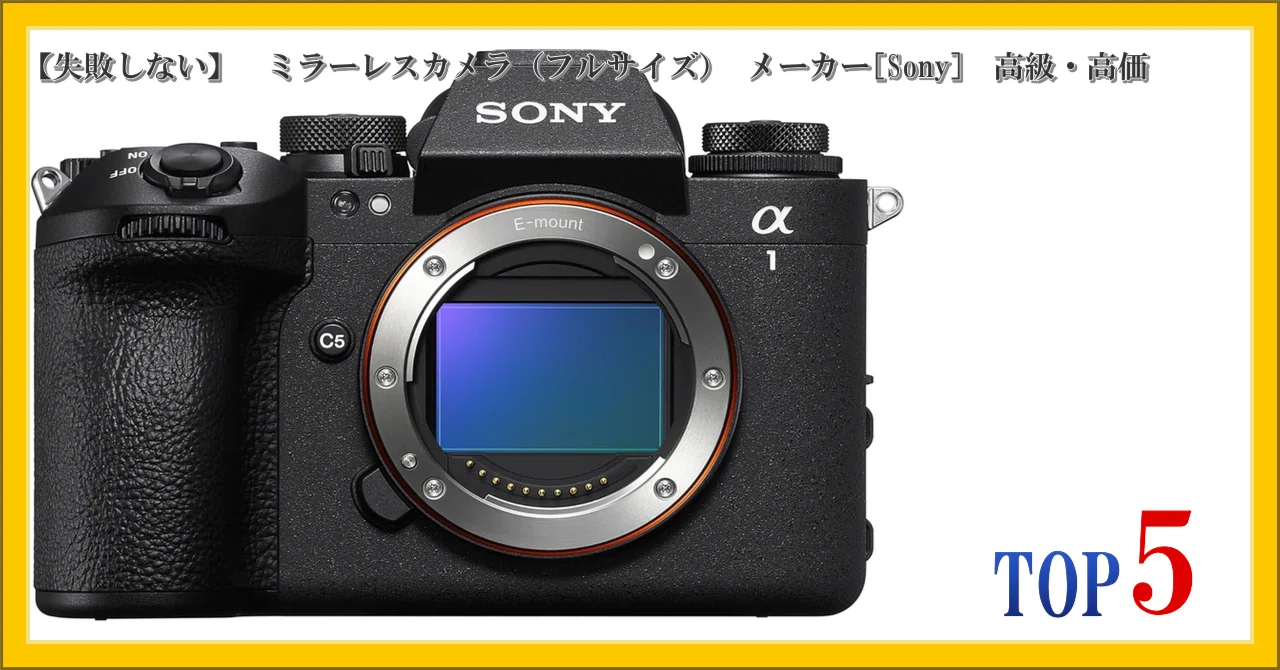 失敗しない】 ミラーレスカメラ（フルサイズ） メーカー[Sony] 高級