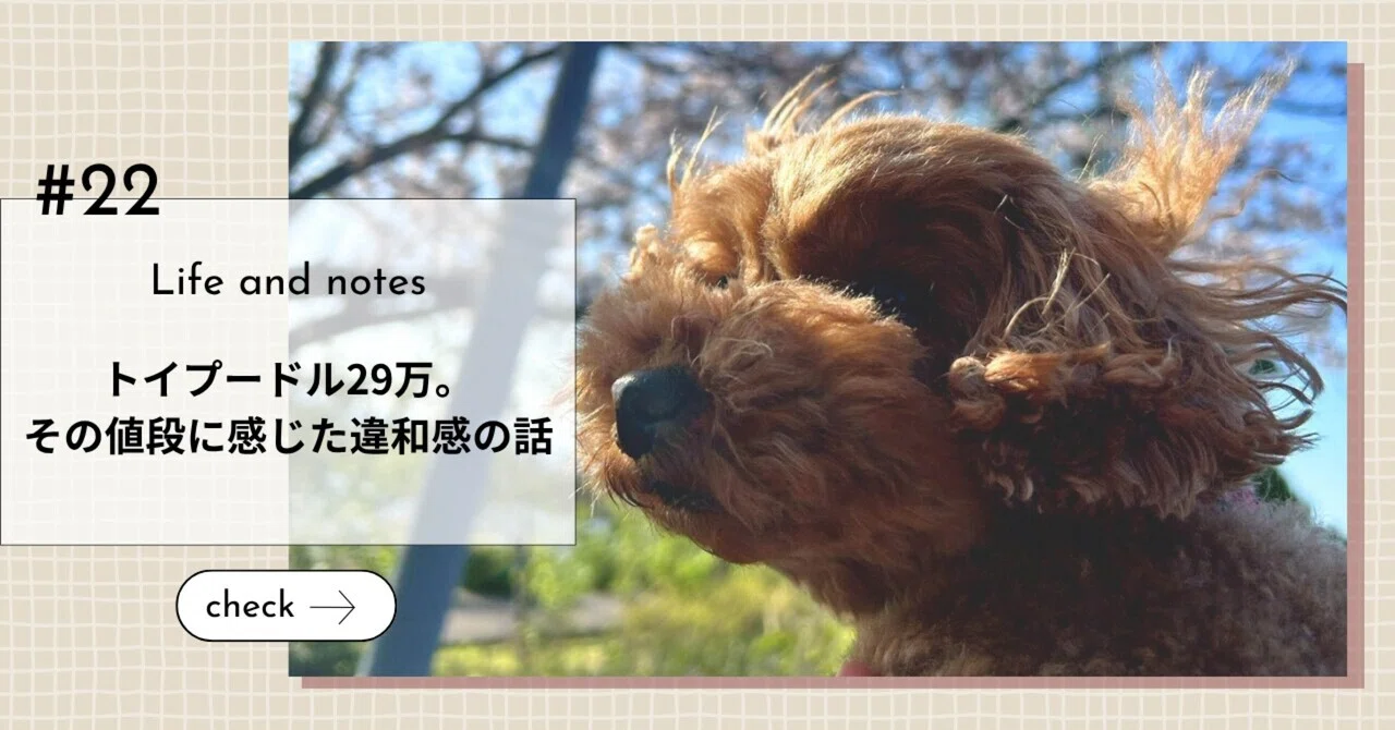 トイ プードル 値段