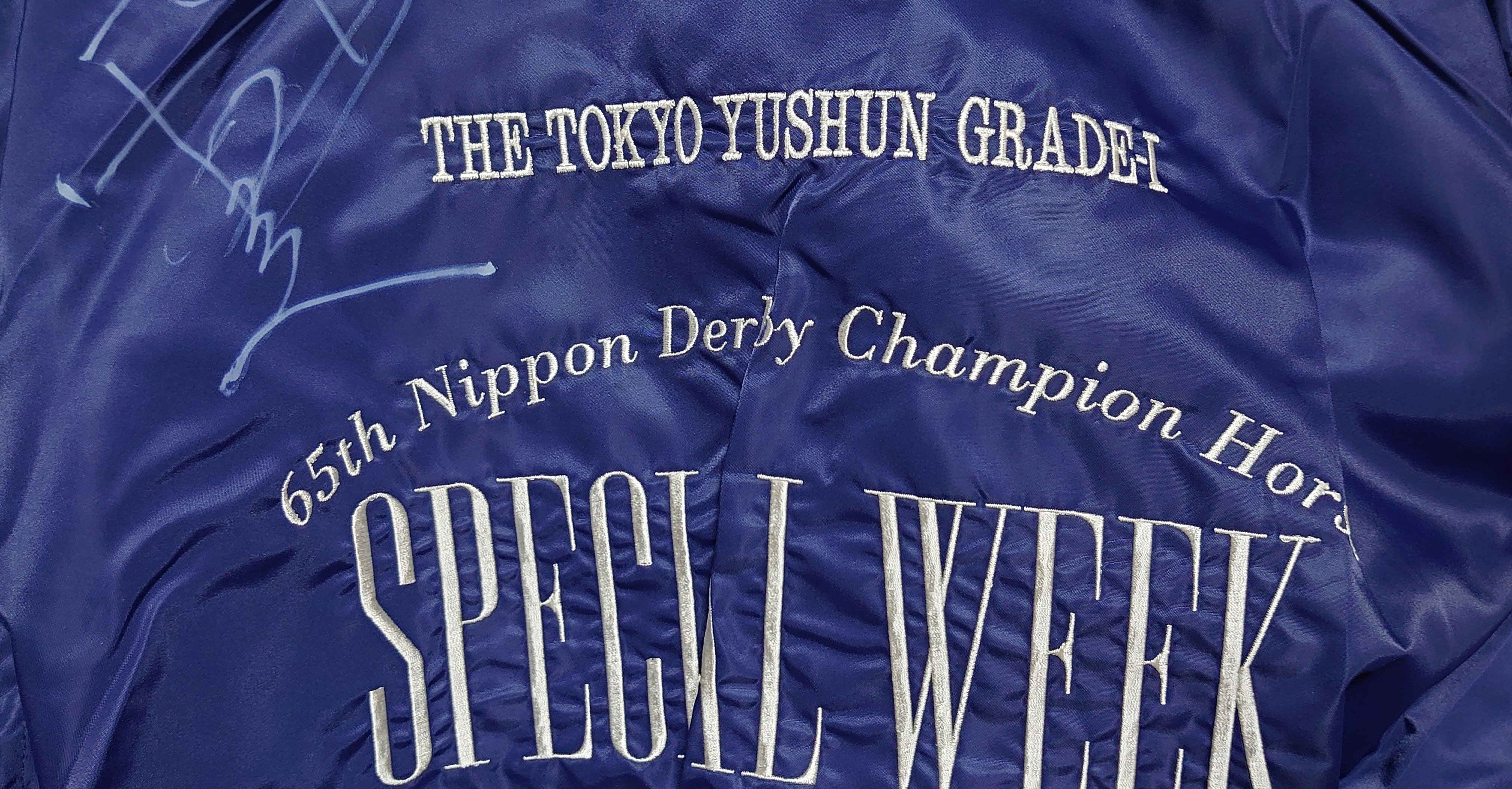 日本ダービー全頭馬体チェック わらび餅 毎日頑張る元ぼくふ Note