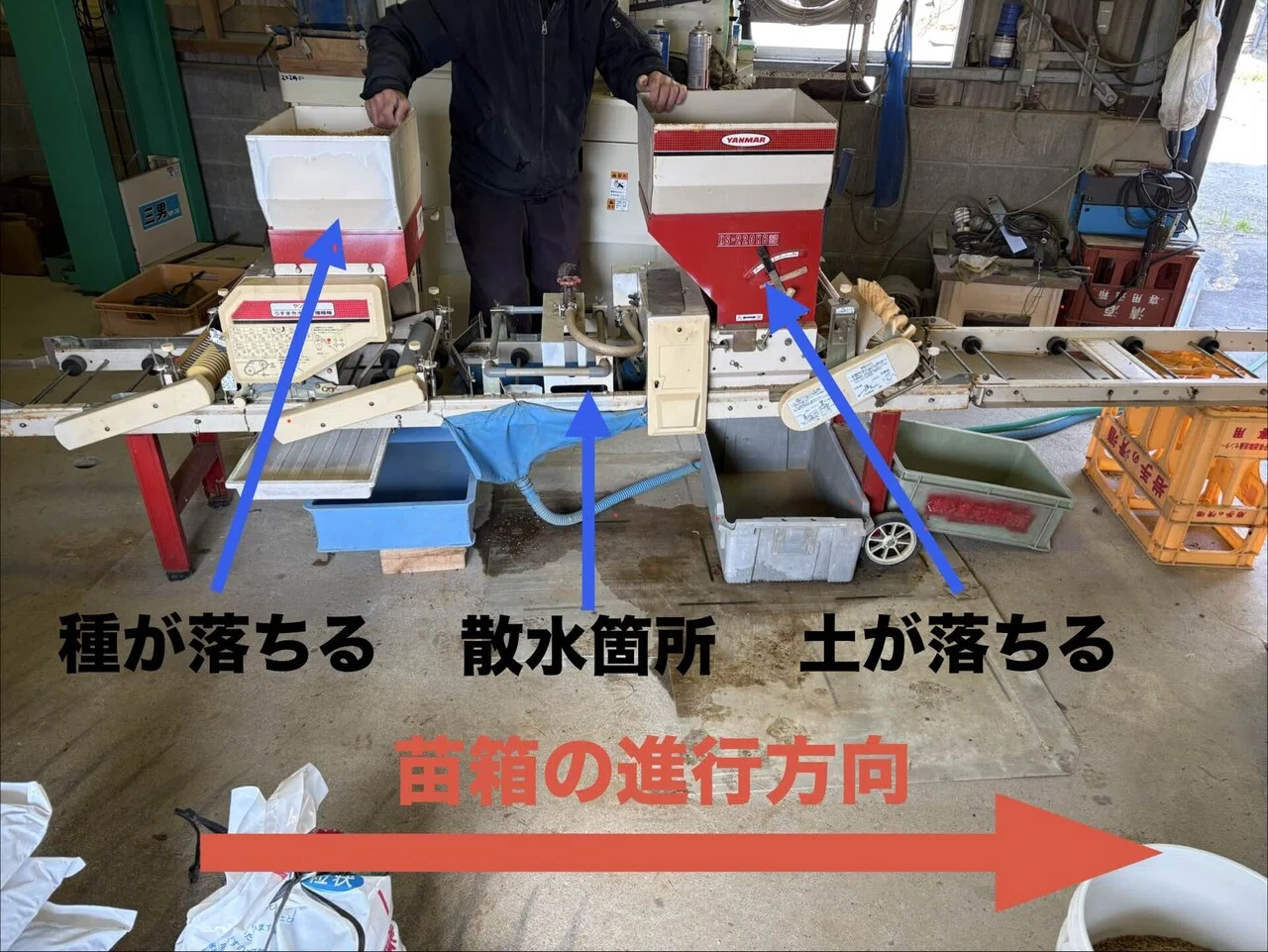 種まき完了！｜小野寺知之