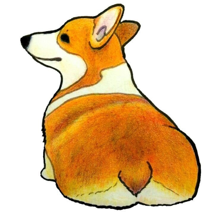 コーギーイラスト 05 Ao Note