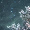 夜白