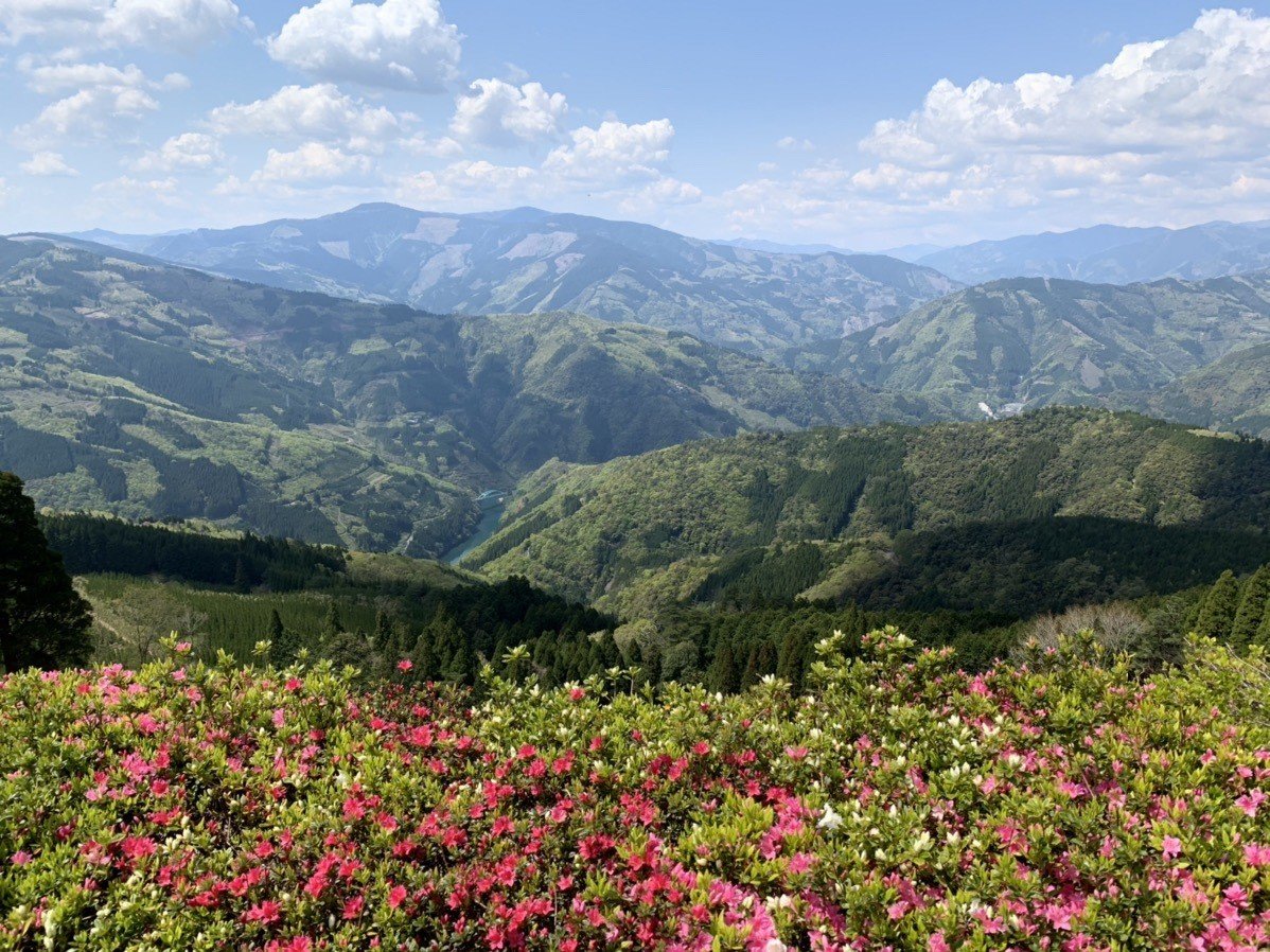 【撮れたて！農山村】宮崎県諸塚村｜【公式】緑のふるさと協力隊 by NPO法人地球緑化センター