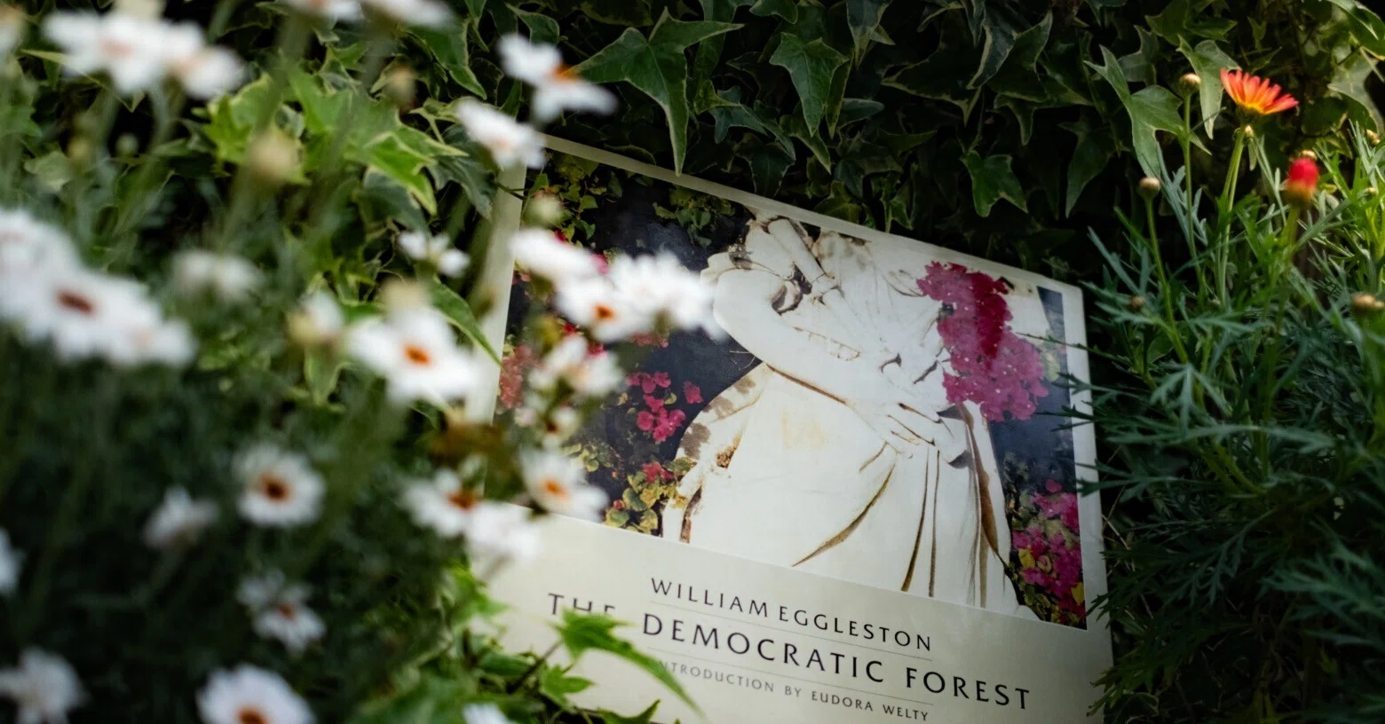 William Eggleston（ウィリアム・エグルストン） 「The Democratic