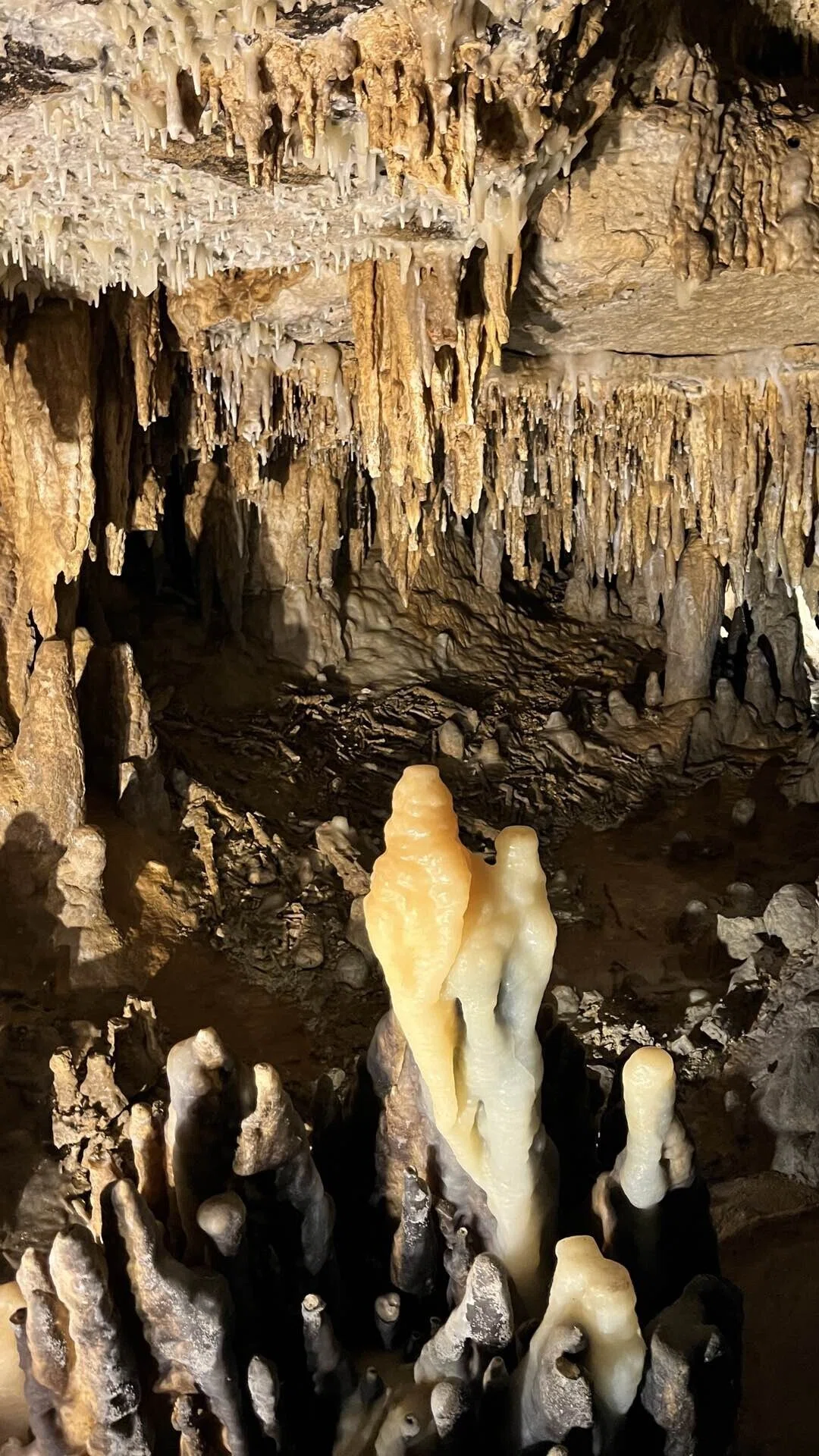 アメリカ生活〉シカゴから3時間 | Cave of the Mounds｜行く前に知って