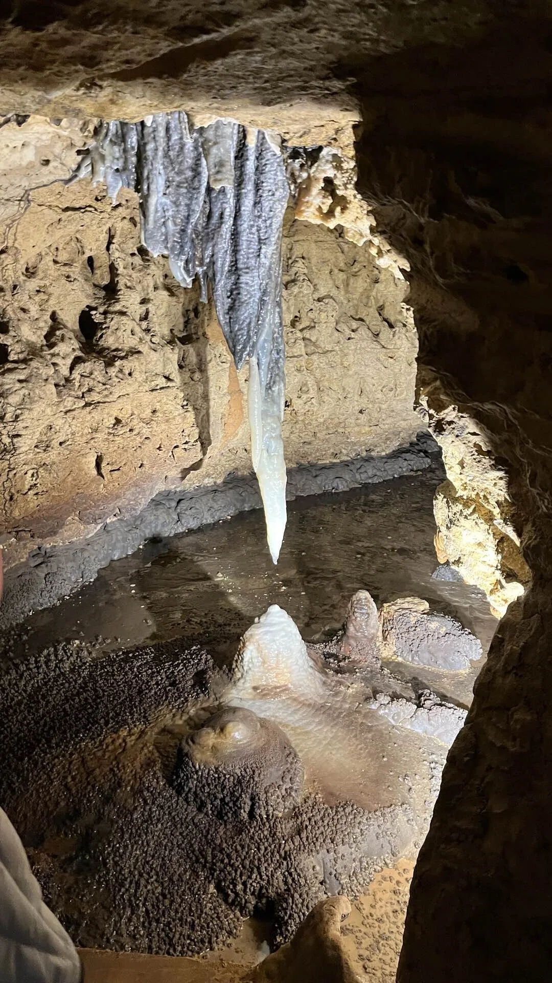 アメリカ生活〉シカゴから3時間 | Cave of the Mounds｜行く前に知って