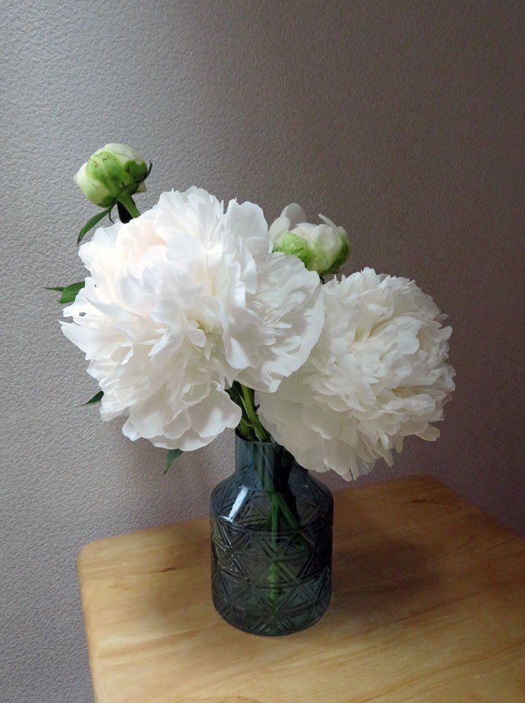 芍薬を花瓶にいれる 花と日々 Yas Note