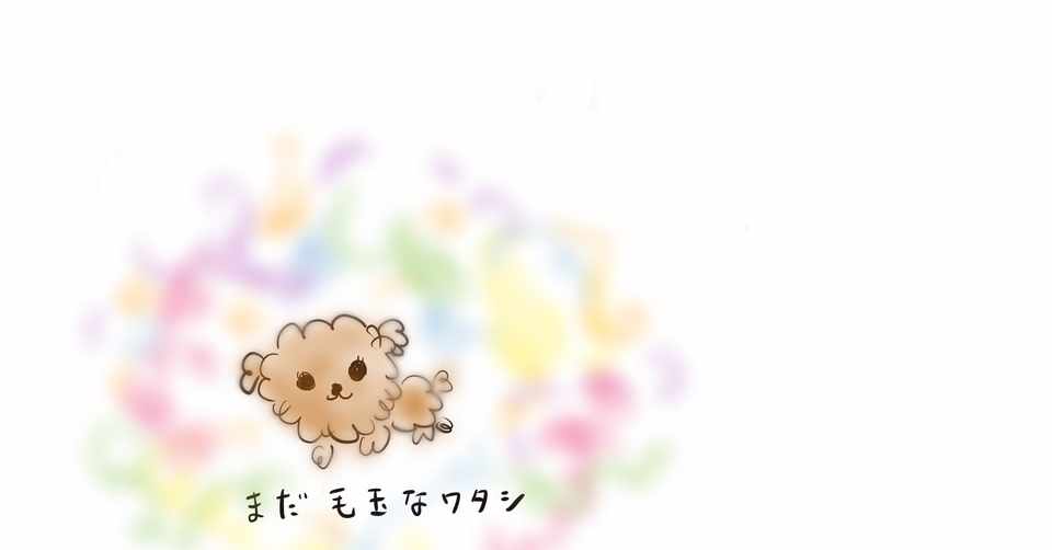 犬の叱り方に悩んだら しつけ本を参考にして後悔したこと 瑛璃 えり Note
