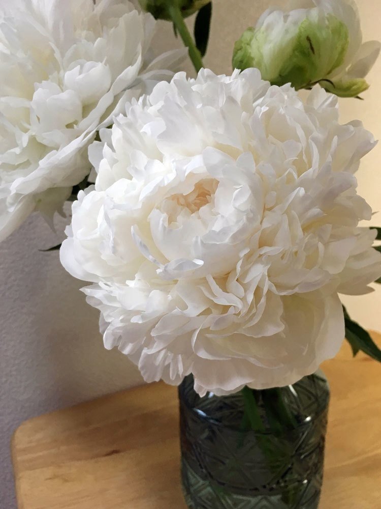 芍薬を花瓶にいれる 花と日々 Yas Note