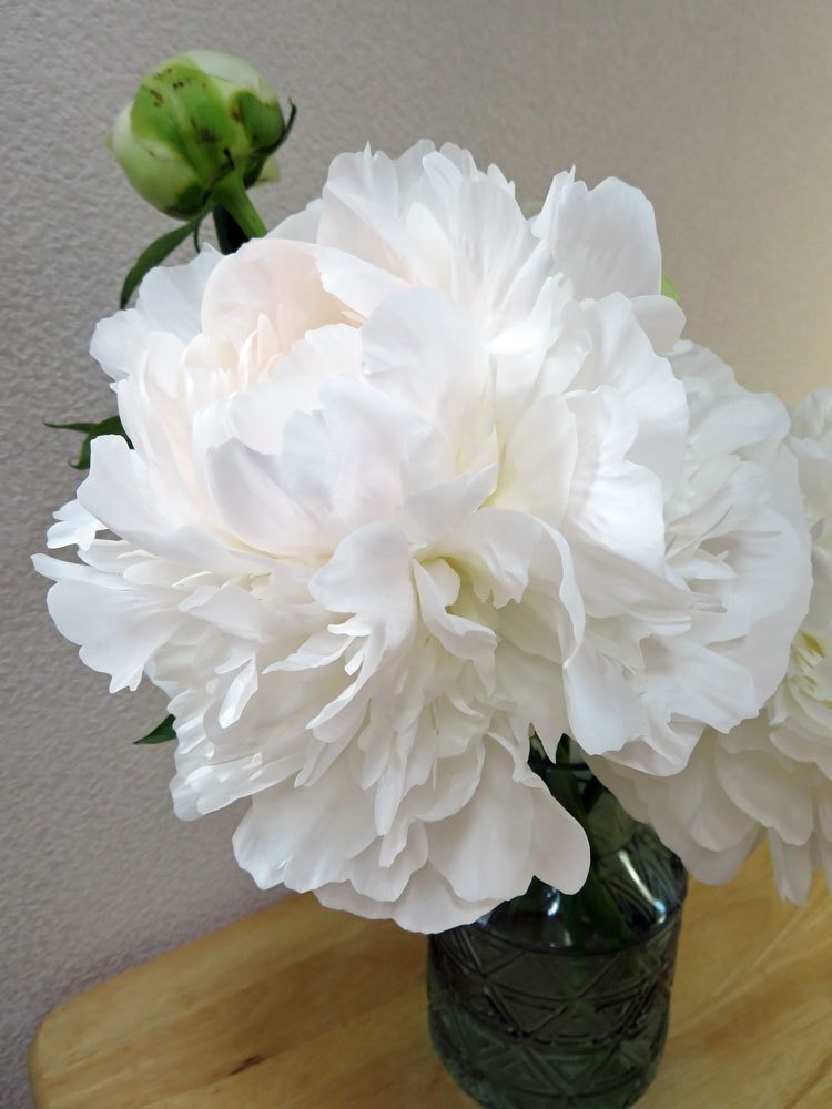 芍薬を花瓶にいれる 花と日々 Yas Note