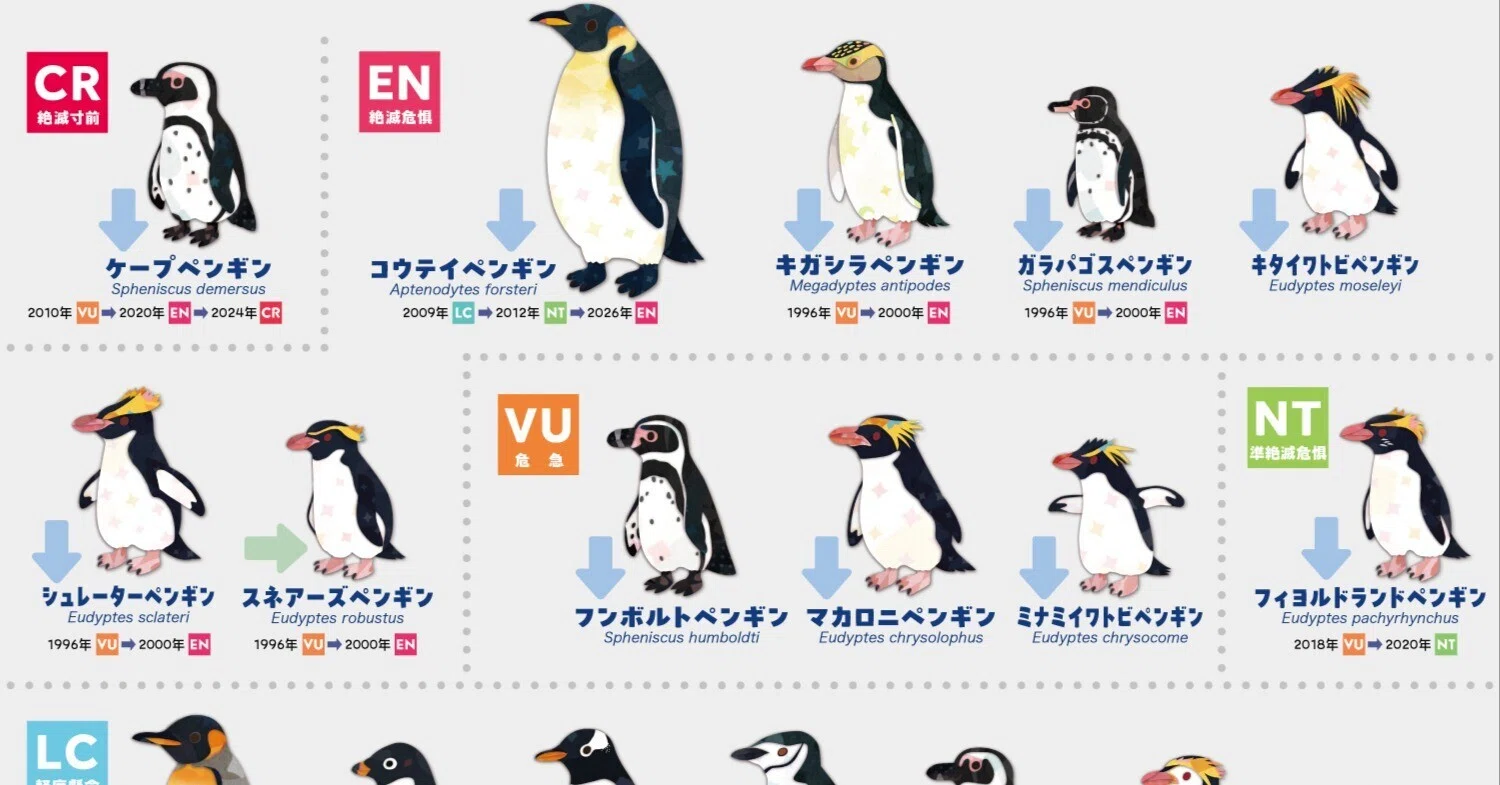 コウテイペンギンが絶滅危惧種に｜キクチミロ