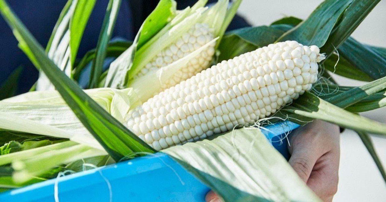 白いヤングコーン ちび舞妓ちゃん ロックファーム京都 Note 白いヤングコーン ちび舞妓ちゃん ロックファーム京都 Note