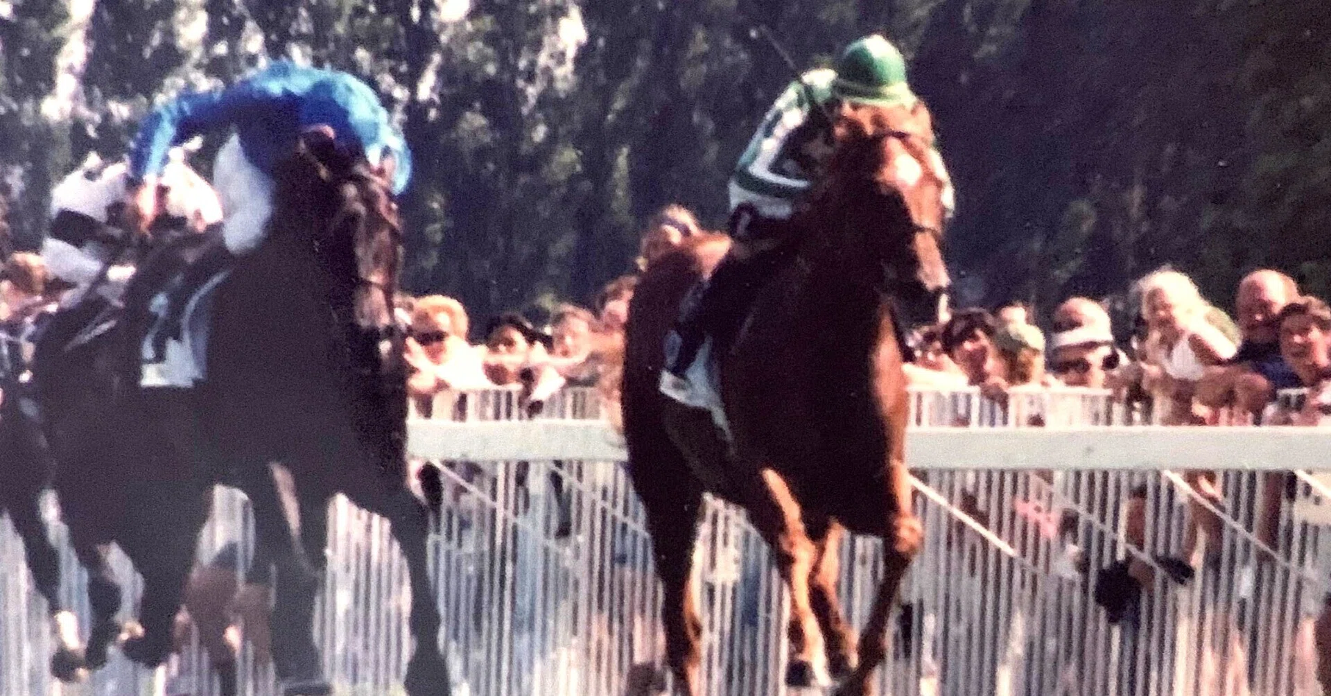 中央競馬(JRA)年度代表馬【1983年度～1998年度】写真16枚セット タイキシャトルが制したジャックルマロワ賞（GⅠ、1998年）｜平松