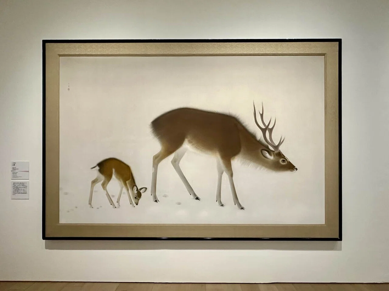 日本画アヴァンギャルド KYOTO 1948-1970｜Haru Yamaguchi