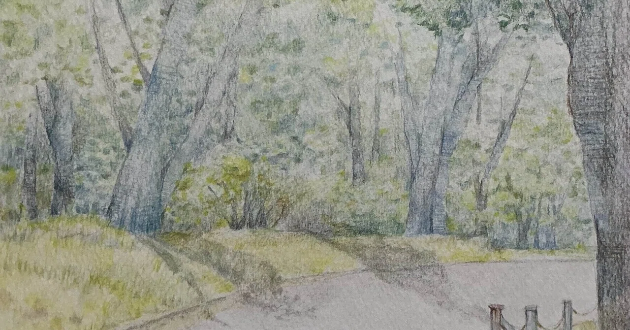 風景画 色鉛筆 • 透明水彩｜ぎんなん