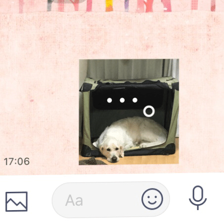 わたしのツボ Khufuou Note わたしのツボ Khufuou Note