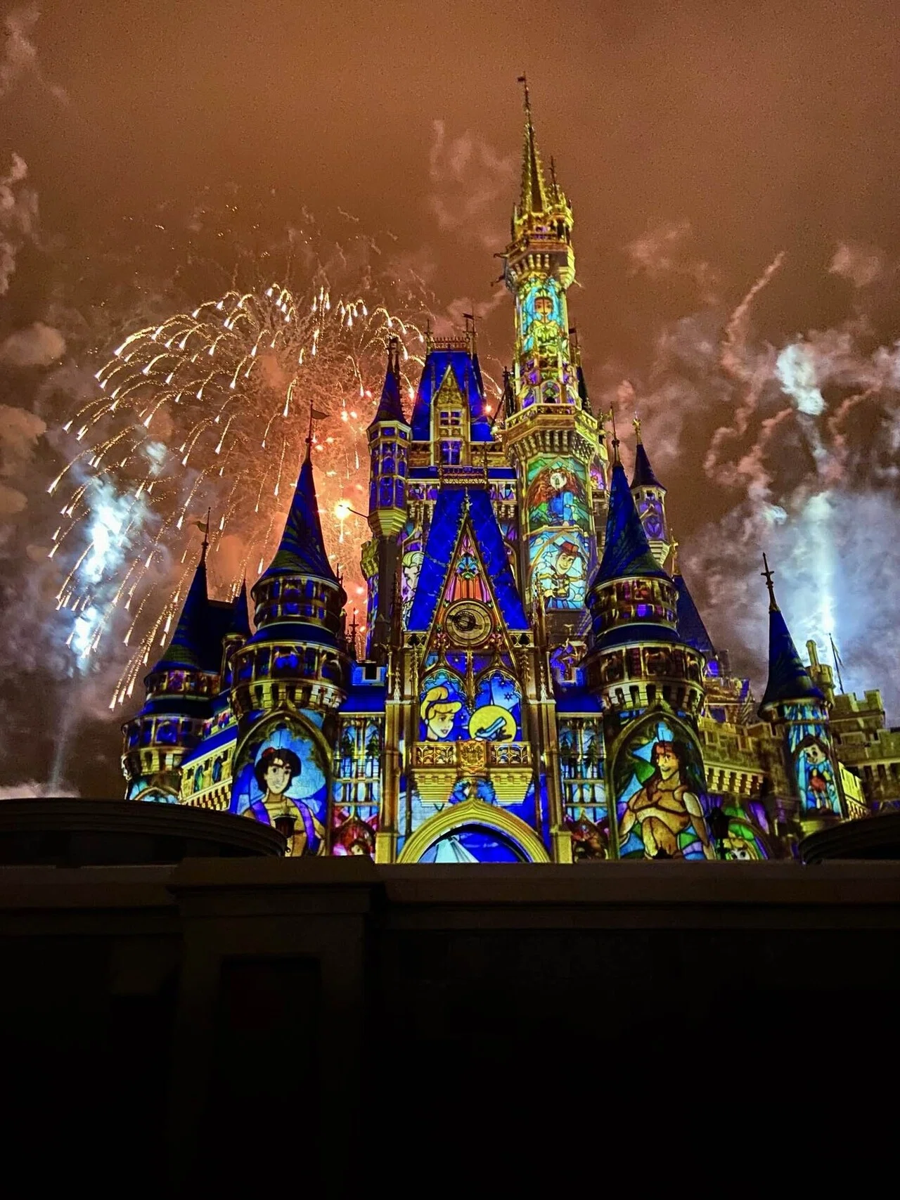 WDW 最強⁉️Happily Ever After鑑賞場所🏰｜えりまき