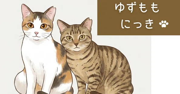 ゆずねこ様おまとめ 🥰❣🫶🏻️︎💕