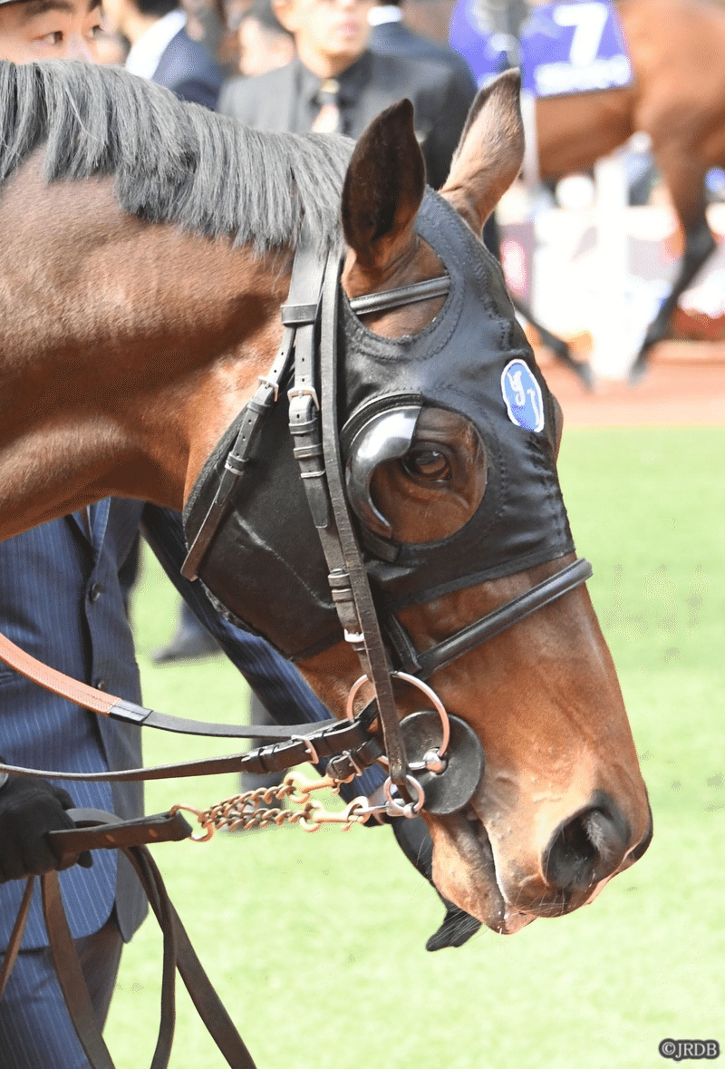 競馬を学ぶ ｂ ブリンカーっていう認識は間違い 奥野憲一 ストライド競馬 Note