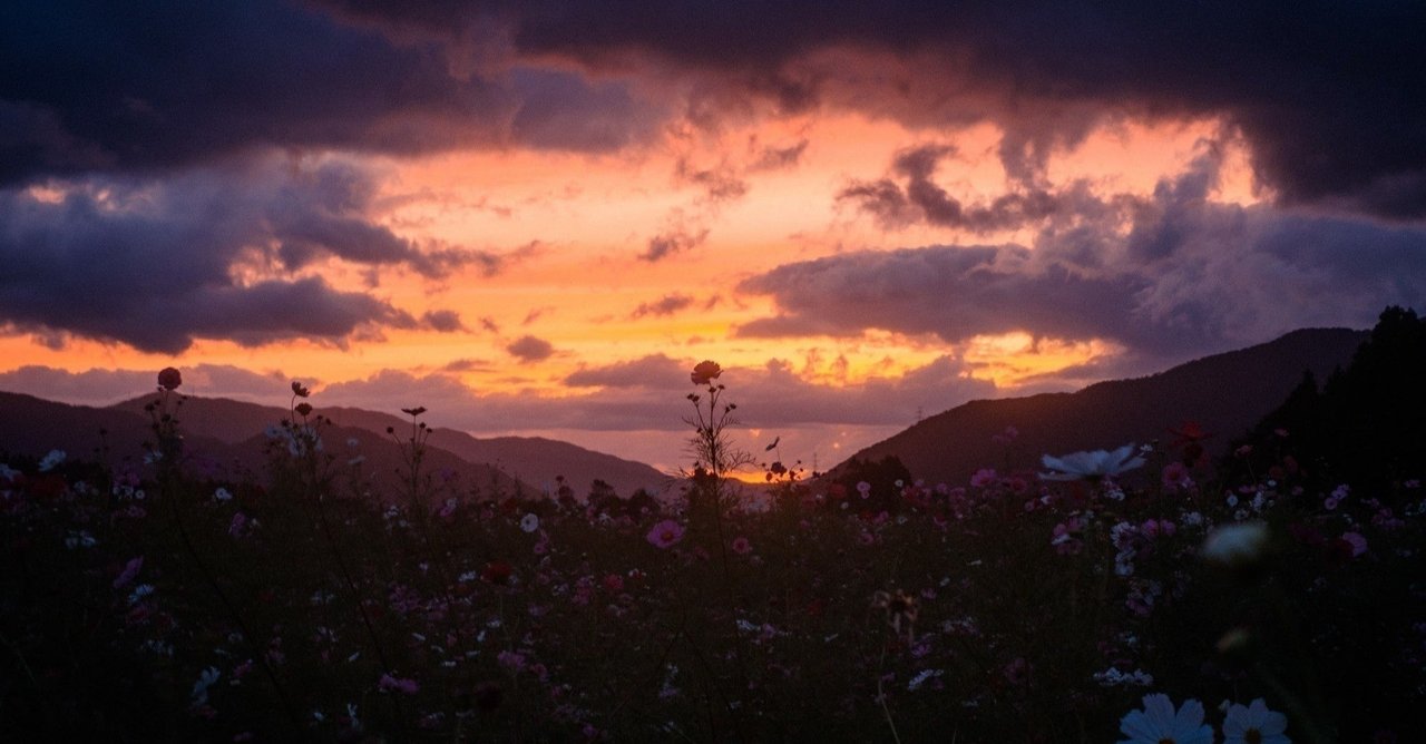 ガイドビーコンなんて出すなやられたいのか の新着タグ記事一覧 Note つくる つながる とどける ガイドビーコンなんて出すなやられたいのか の新着タグ記事一覧 Note つくる つながる とどける