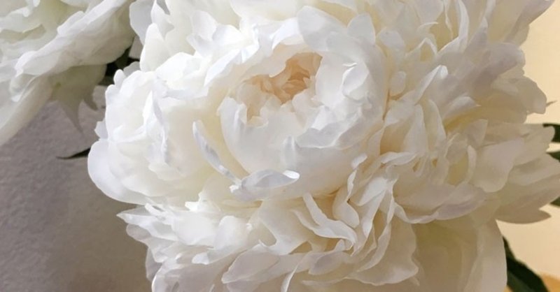 芍薬を花瓶にいれる 花と日々 Yas Note 芍薬を花瓶にいれる 花と日々 Yas Note
