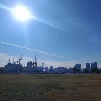 さよコアラ