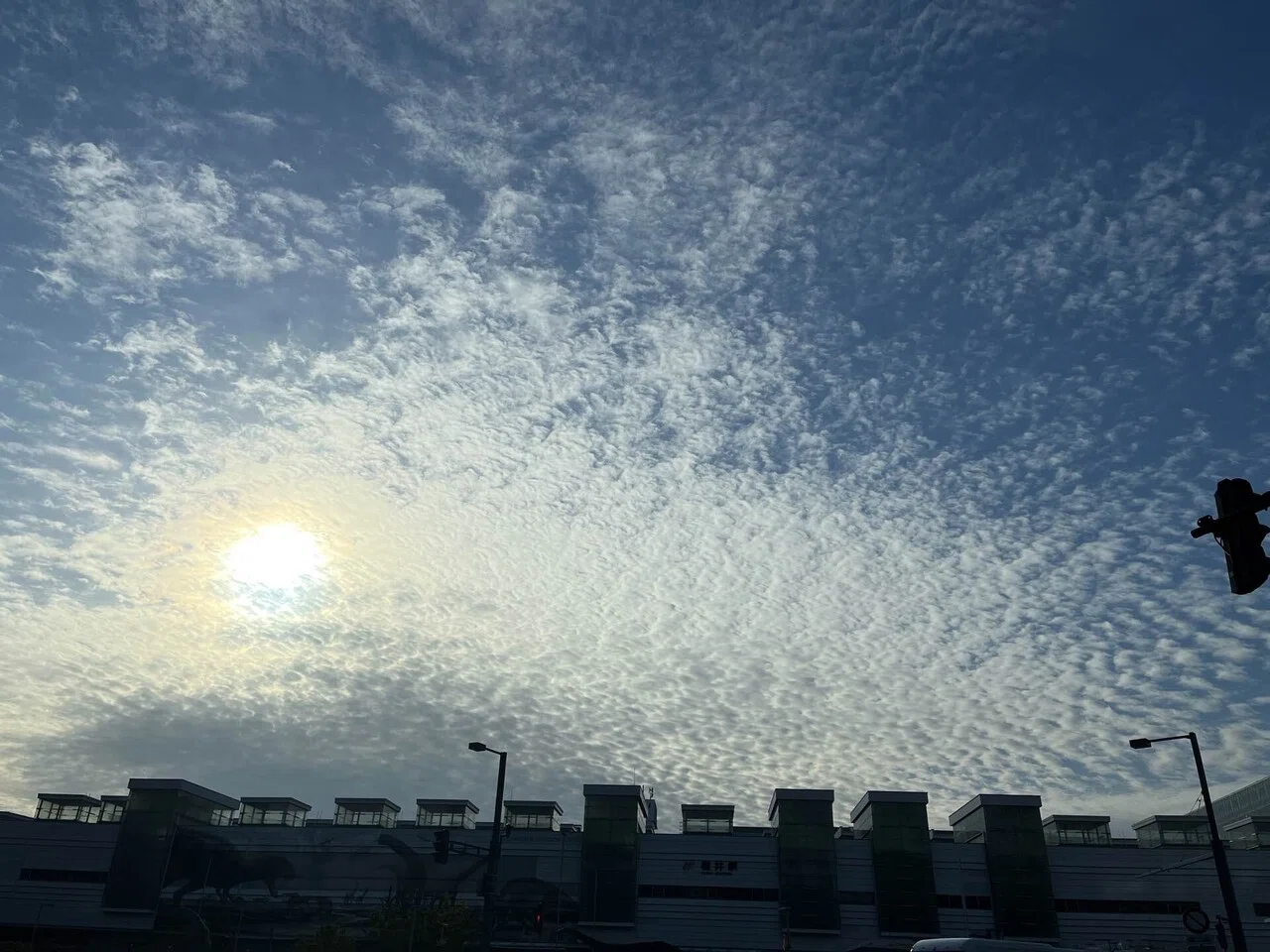 空に広がる「魚の群れ」の正体。うろこ雲とひつじ雲の意外な見分け方