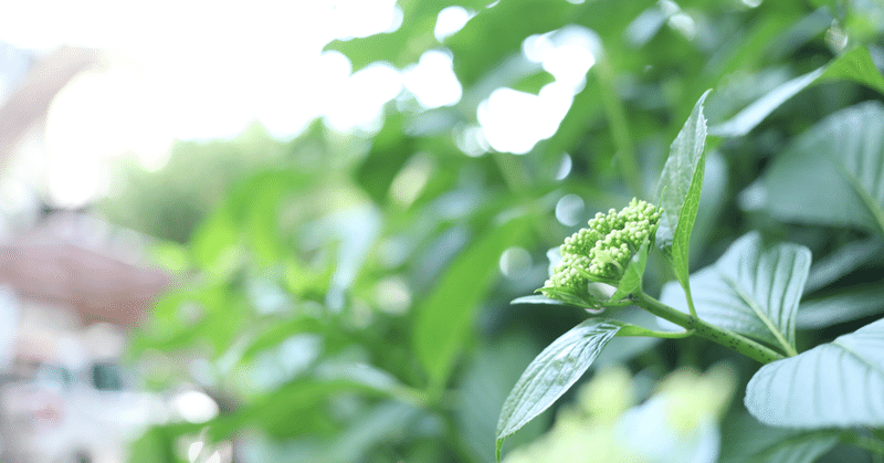 温度、体感、体温が人には大切