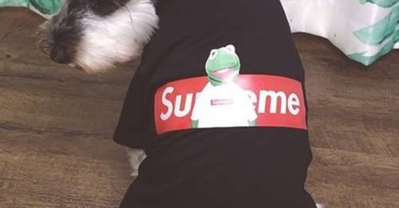 Supreme ベット用品 犬の服 春夏服 中型 小型犬 お出掛け お散歩 ドッグウェア ファッション 人気 Tシャツ 室内 室外 3色5サイズ選択可能 Tangelq Note