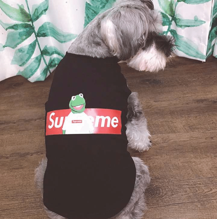 Supreme ベット用品 犬の服 春夏服 中型 小型犬 お出掛け お散歩 ドッグウェア ファッション 人気 Tシャツ 室内 室外 3色5サイズ選択可能 Tangelq Note