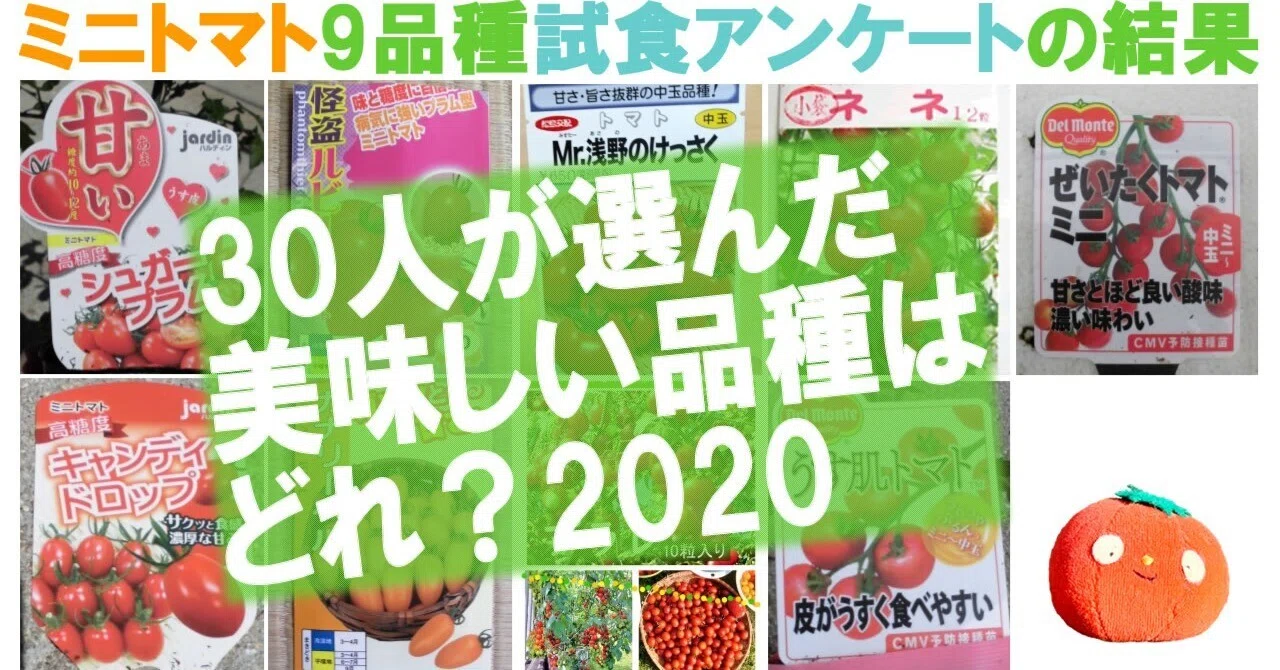 おすすめミニトマト?／は何②前半無料！30名に聞いた！ミニトマト9 