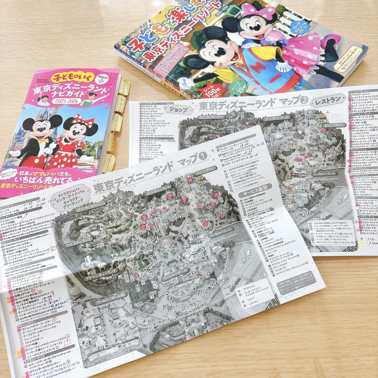 子連れ旅行記】3歳長女、東京ディズニーランドデビュー（まわり方や