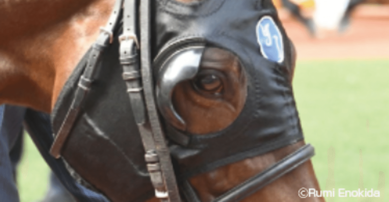 競馬を学ぶ ｂ ブリンカーっていう認識は間違い 奥野憲一 ストライド競馬 Note
