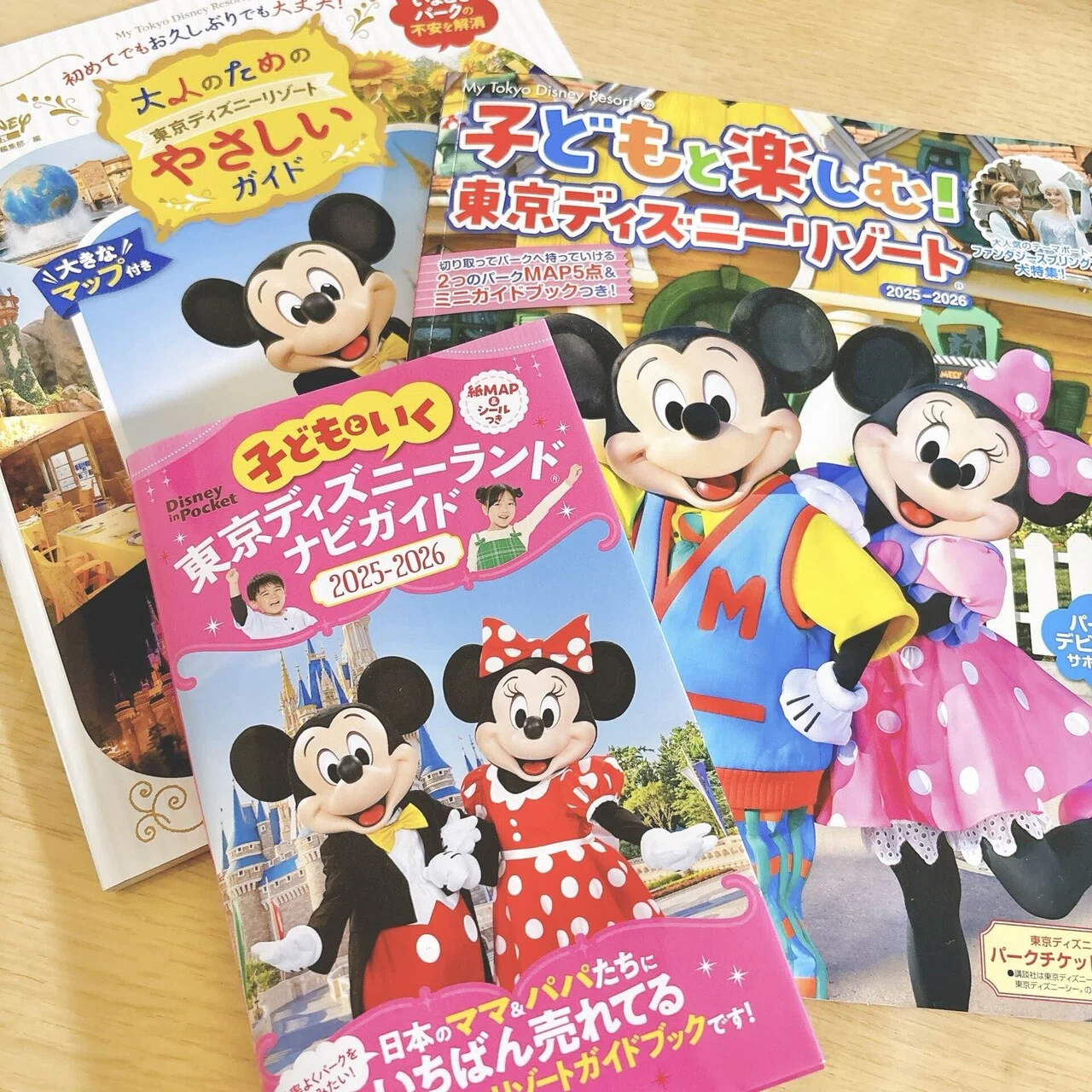子連れ旅行記】3歳長女、東京ディズニーランドデビュー（まわり方や