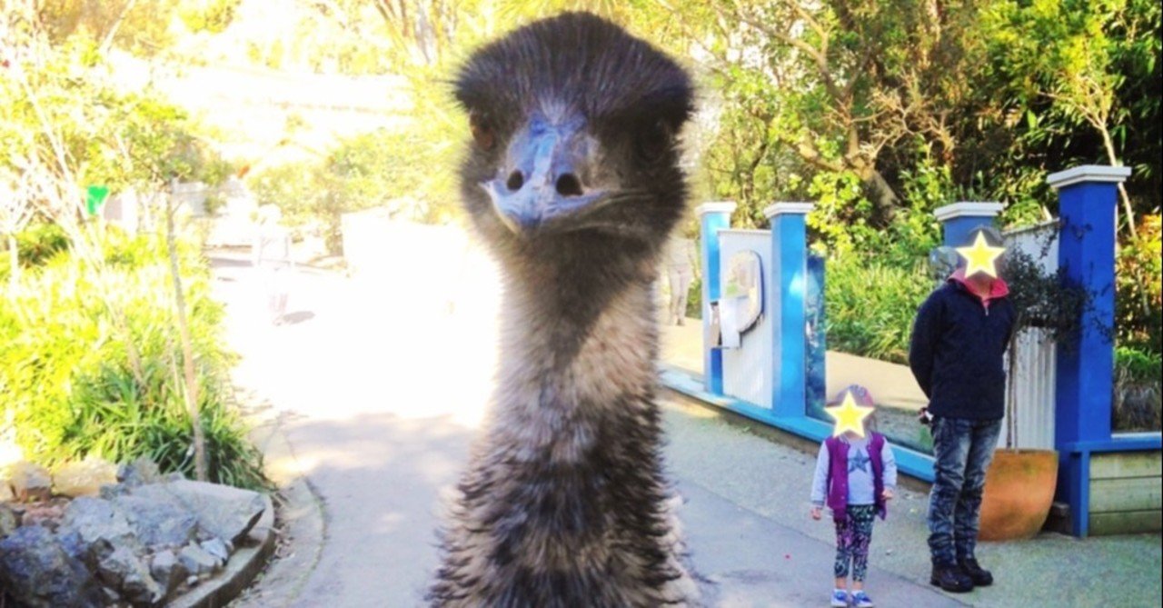 動物園のエミューに求愛された話 鮎 Note