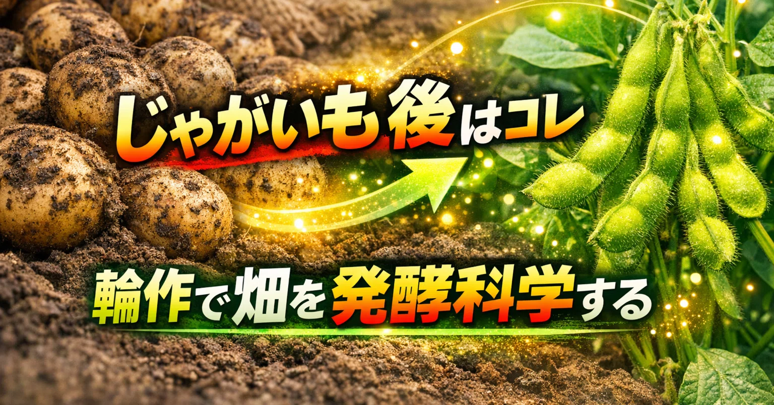 じゃがいも 後 作