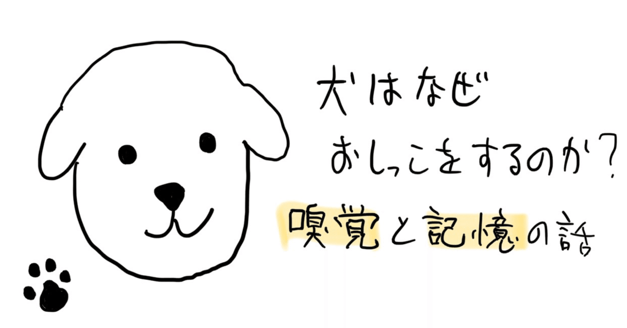 医学部生と考える日常の不思議 1 犬はなぜおしっこをするのか 嗅覚と記憶の話 医学部生 Note