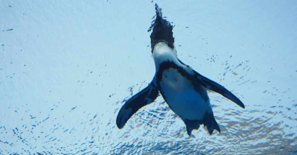 平日休みと 映画 メメント の話 Tk 一通 Note