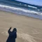 さつき
