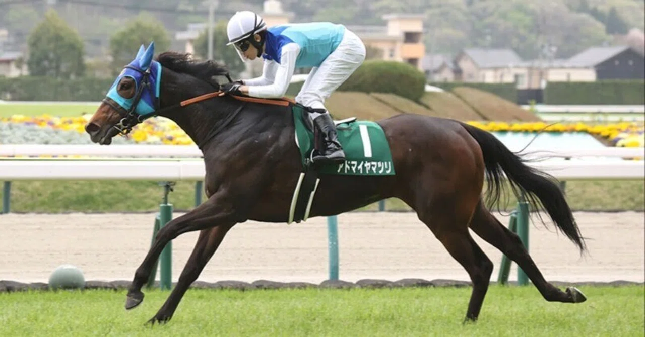 牝馬 2024年 福島牝馬ステークス（GⅢ） | コスタボニータ | JRA公式 - YouTube