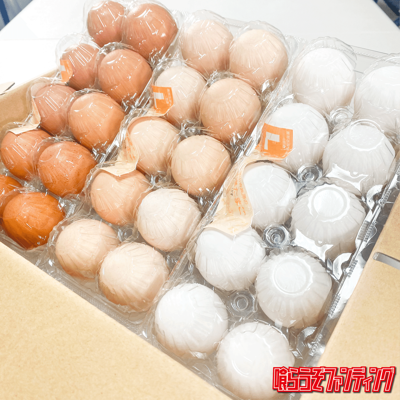 喰らうぞファンディング第8弾｜mcmoriya