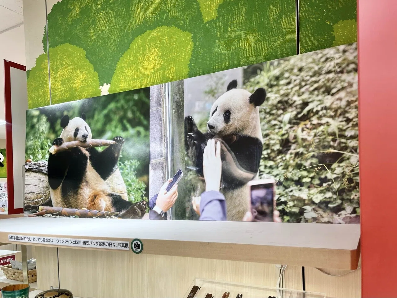 4月3日、行知学園出版の写真集『私、とっても元気だよ シャンシャンと