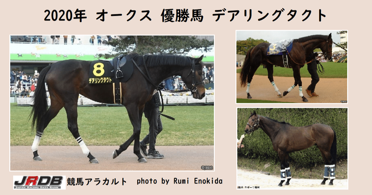 新作グッ 8f10b5c52cf1e8abeb147025920743 コレクション