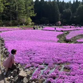 まみ