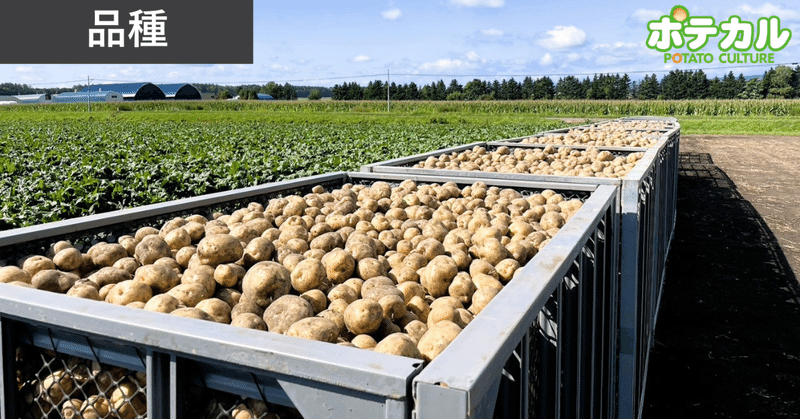 「ゆめいころ」が上々のデビュー、JAきたみらい