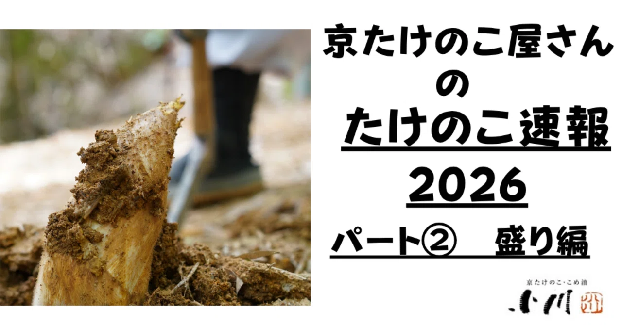 京たけのこ屋さんのたけのこ速報パート②｜京たけのこ・こめ油の小川 