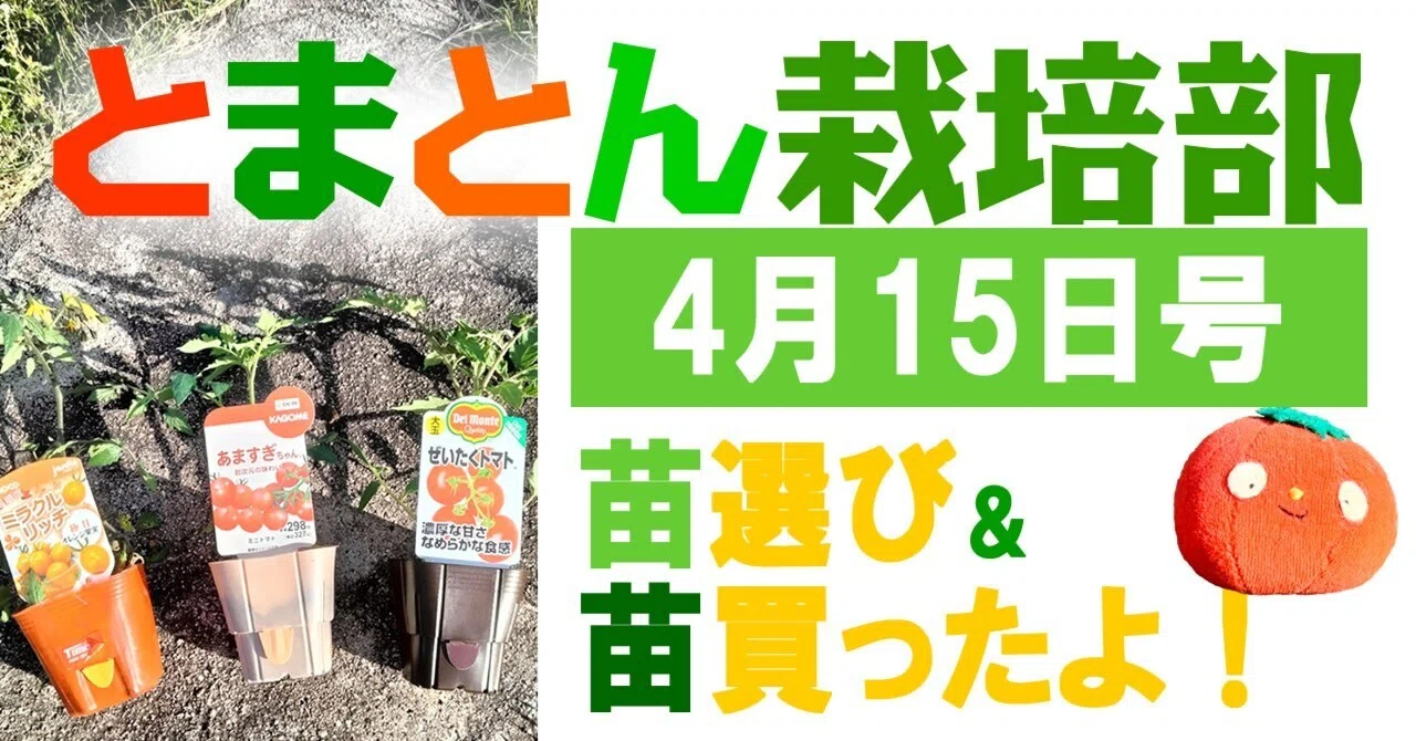 とまとん栽培部】品種選び＆とまとん母さんの2026年最初の苗購入