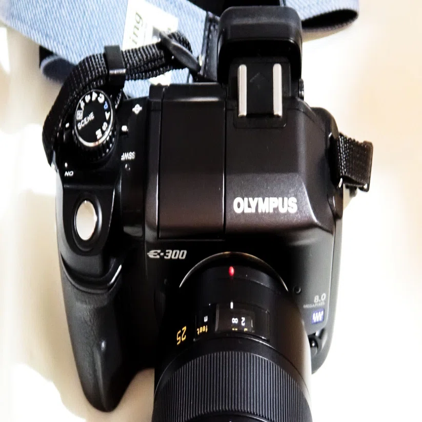 ♯27【4/3】LEICA D SUMMILUX 25mm F1.4 ASPH.｜dai