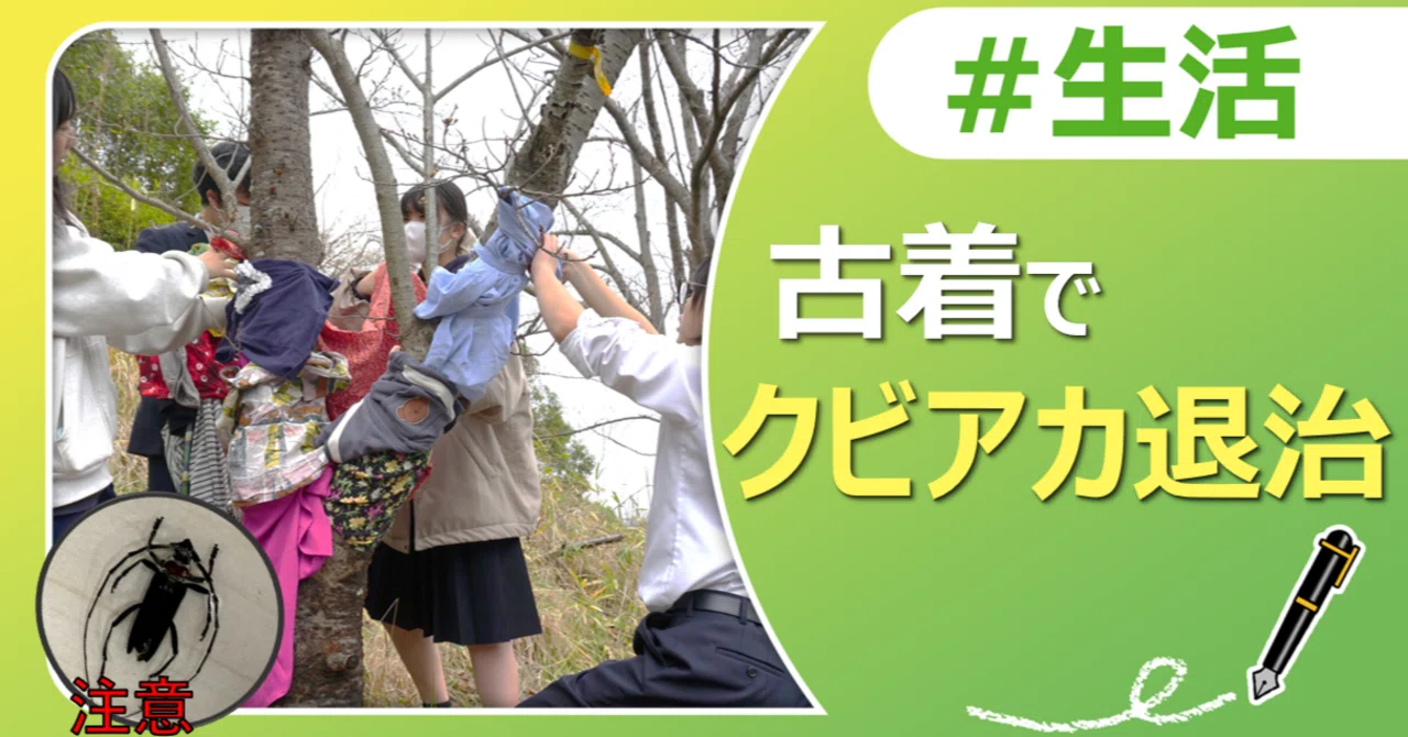 桜の木を守ろう！古着でクビアカ退治！｜J:COM地域取材ノート