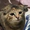 毒嫁（元嫁）と、その連れ子の悪行に悩む人